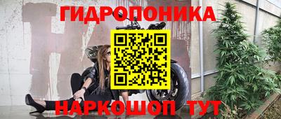 кокс Кинель