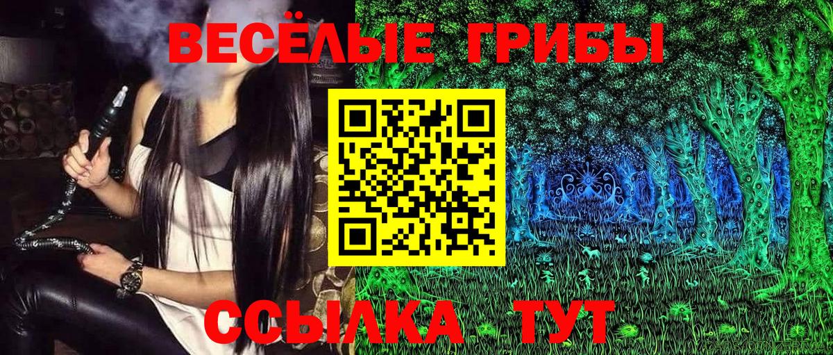 где купить наркоту  Галлюциногенные грибы MAGIC MUSHROOMS  Вход с VPN  Кстово 